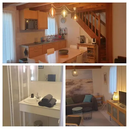 Ocelandes Saint-Julien-en-Born