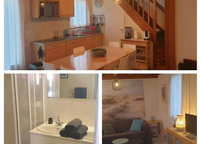 Ocelandes Saint-Julien-en-Born